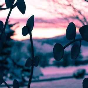 Meet your Posher, Cheyenne